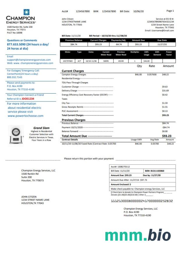 USA Texas Champion Energy Services dowód adresu szablon rachunku za media w formacie Word i PDF
